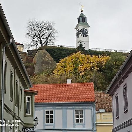 Zlatica Petrovaradin Exteriér fotografie
