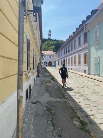 Zlatica Petrovaradin Exteriér fotografie